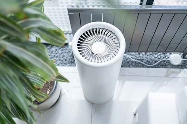 Indoor Air Quality Services